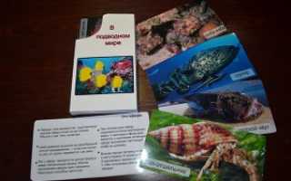 Карточки по теме море