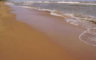 Записать моря омывающие берега нашей страны