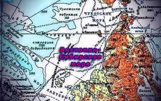 Растительность восточно сибирского моря