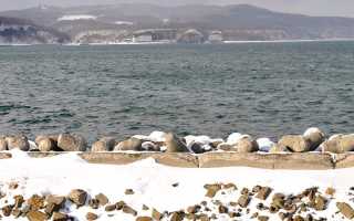 Какие крупные моря омывают россию