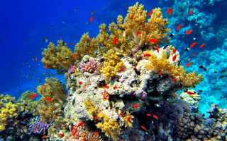 Самое молодое море страны