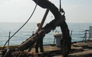 Черное море принадлежит бассейну какого океана