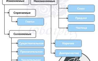 Синего моря род число падеж