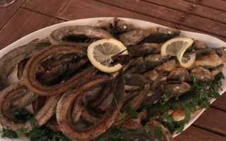 Рыбный рынок азовского моря