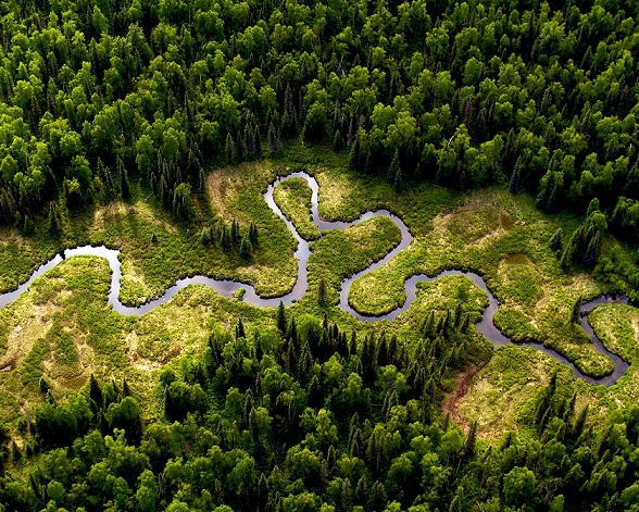 фото реки Амазонка Река Амазонка